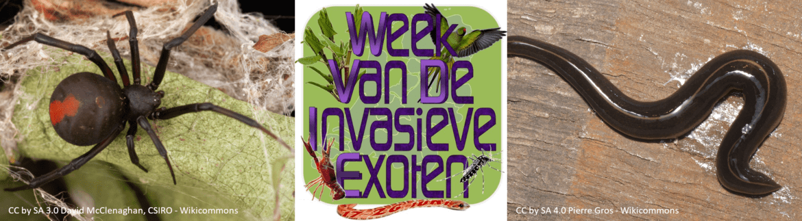 header-bio-invasieve-exoten-wdvie-2025-met-credits