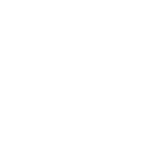 VVM logo